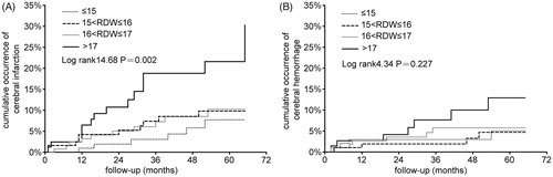 Figure 2. Kaplan–Meier curve of stroke incidence at graded mean RDW quartiles.