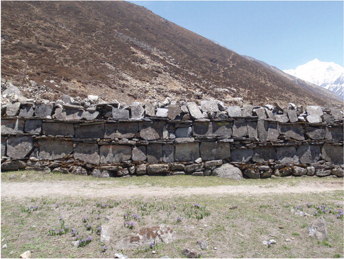 FIGURE 1. Buddhist sacred walls, called mani walls, are common above Ghoratabela in Langtang Valley (Nepal Himalaya) and especially between Langtang Village and Kyanjin Gompa (Figs. 3–4). This mani wall is adjacent to the monastery in Kyanjin Gompa (Mani Wall #24, Table 2).