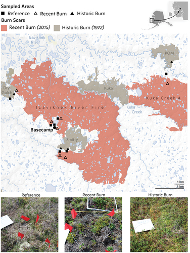 Figure 1. Map of burn history and sampled areas in the Yukon-Kuskokwim Delta (YKD) of Alaska. The bottom panel includes photos of plots sampled in reference, recent burn, and historic burn areas. Map created by Carl Churchill.