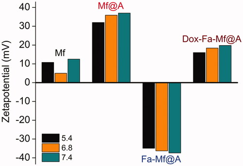 Figure 10. Zeta potential of Mf, Mf@A, Fa-functionalized Mf@A and Dox immobilized Fa-Mf@A. Dox: doxorubicin; Mf: manganese ferrite; Mf@A: MnFe2O4@Au nanoparticles.