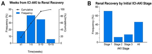 Figure 5. Characteristics of renal recovery in patients with ICI-AKI. (A) Time (in weeks) from ICI-AKI diagnosis to renal recovery. (B) Renal recovery overall and according to initial ICI-AKI stage. Patients without an ending scan of SCr (n = 9) were excluded. ICI-AKI, immune checkpoint inhibitor-associated acute kidney injury; AKI, acute kidney injury.