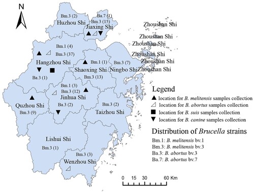 Figure 1. Location for the samples collection and distribution of Brucella strains in Zhejiang Province (note: the map does not represent the true borders of administrative regions of Zhejiang, China).