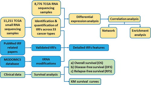 Figure 1. Schematic representation of data processing and flowchart of OncotRF construction.