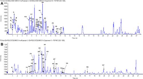 Figure 1 Total ion chromatogram by LC-MS/MS of BRFE labeled with the tentatively identified active metabolites in (A) negative ion mode, (B) positive ion mode.