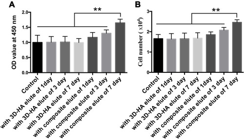 Figure 4 Cytotoxicity of the scaffolds. (A) OD value of the cells cultured with different elutes of scaffolds. (B) Proliferation ratio of BMSCs cultured with different scaffolds elutes. **P<0.01.