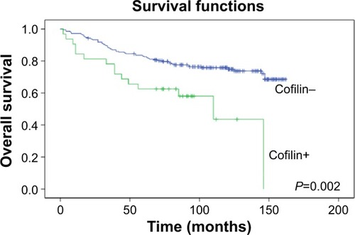 Figure 3 Association of cofilin with overall survival among P-cofilin-negative patients with invasive ductal breast cancer.