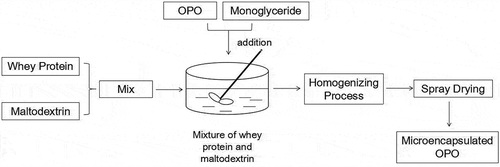 Figure 1. Preparation technology of microencapsulated OPO.