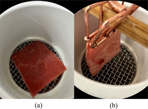 Figure 2. The meat sample displayed in the drying chamber under: (a) impinging jet (IPJ-AFD) and (b) cross-flow (CF-AFD) configuration.