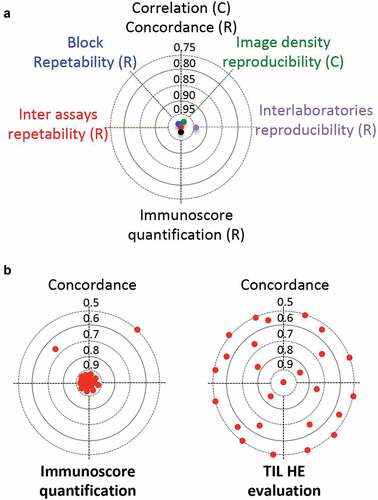 Figure 1. Immunoscore analytical validation. (a) Inter-assay repeatability, block repeatability, image density reproducibility, inter-laboratories reproducibility and Immunoscore concordance. (b) Representative cases (n = 36) of the whole international SITC cohort were taken from centers in Belgium, Canada, China, France, and USA, and were re-analyzed by 8 independent pathologists from different centers, using the Immunoscore digital pathology software (left). The reproducibility of the results of the Immunoscore were compared with that of a visual assessment of the density of tumor-infiltrating immune cells in tumor tissue stained with hematoxylin and eosin (HE). HE-images from representative cases (n = 268) from the international SITC cohort were visually assessed by 11 observers the density of tumor-infiltrating immune cells (right). Concordance index is visualized for 25 representative cases (red dots)