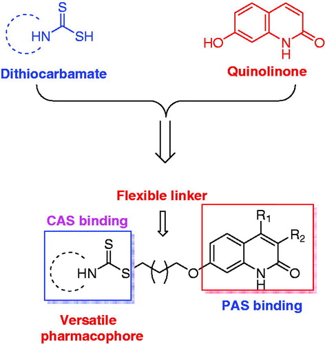 Figure 1. Rational design of quinolinone derivatives as multifunctional AChE inhibitors for the treatment of AD.