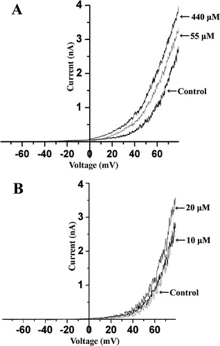 Figure 5.  Effect of TNP and CPZ on whole cell current of the STREX deleted SAKCa channel. Effect of only 55 and 440 µM TNP (A) as well as 10 and 20 µM CPZ (B) on the whole cell current is shown for clarity. Each curve is an average from three traces when the currents were stable. n=3 or more.
