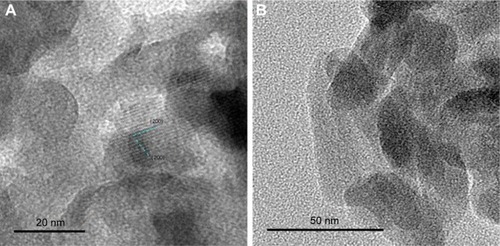 Figure 5 TEM images of (A–C) synthesized HA. (D) Electron diffraction pattern of HA.Abbreviations: TEM, transmission electron microscope; HA, hydroxyapatite.