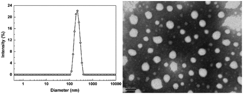 Figure 7. TEM image and the corresponding DLS result of P(DEVP-co-CEMA) (Sample F3 in Table 2) nanoparticles in water.