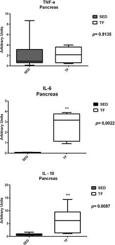 Figure 11 Pancreatic expression of genes related to inflammation between groups.