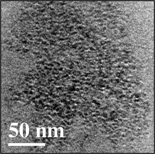 Figure 5. TEM image of the PMMA-nanodiamond composite.