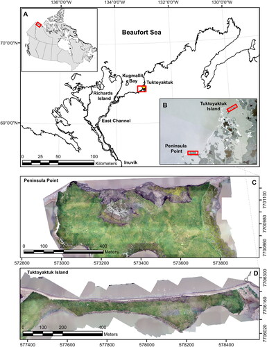 Figure 1. (A) Map of the study area found in the western Canadian Arctic in the southern Beaufort Sea near the hamlet of Tuktoyaktuk, NT. (B) Relative location of the two study sites. (C) Peninsula Point study site. Shown is the extent of a UAV survey in true-colourmosaic from 2018 (D1). The Peninsula Point study site is a polycyclic retrogressive thaw slump coastal environment with actively flowing thaw slumps and exposed massive ice in the headwall. (D) Tuktoyaktuk Island study side. Shown is the extent of a UAV survey in true-colourmosaic from 2018 (D1). Tuktoyaktuk Island is a coastal cliff environment with limited exposed massive ice and a small inactive thaw slump near the center of the survey area. Boundary polygons from the Atlas of Canada, National Scale Data 1:1,000,000 retrieved from Natural Resources Canada through the Open Government License. Base map data on inset map B retrieved from Planet Labs Inc. Map created using ArcMap 10.6. Permission is not required for use of this map.