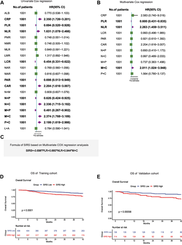 Figure 1 SIRS is associated with OS in patients with hepatocellular carcinoma. (A and B). Results of the univariate Cox regression analysis and multivariate Cox regression analysis between hematological markers of inflammation and overall survival in the training cohort. (C). The computational formula of SIRS. (D). Kaplan–Meier curves for the overall survival of patients in the high- and low-SIRS groups in the training cohort. (E). Kaplan–Meier curves for the overall survival of patients in the high- and low-SIRS groups in the validation cohort.