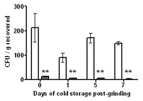 Figure 2. Impact of food storage conditions on E. coli O157:H7 levels in ground beef post phage treatment. White bars indicate PBS controls lacking EcoShield™, gray bars indicate EcoShield™ treated test groups. Error bars represent the SEM (n = 3). ** indicates statistical significance (p < 0.05).