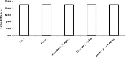 Figure 7 Effect of the treatments on the rotarod performance in CCI and sham mice.