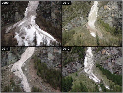 FIGURE 2. Photographs of the Guggigraben fan and bedrock gully outlet at the end of each avalanche season, illustrating spatial and temporal variability in the distribution of dirty avalanche deposits. Photos are from 18 April 2009, 29 April 2010, 13 April 2011, and 18 May 2012. An additional debris-rich avalanche occurred after the 2010 photograph depositing material near the fan apex (compare with Fig. 4). Sediment debris density is not always apparent from the color of deposits alone, which often better reflects organic material content. Deposits preferentially fill the fan's main channel first and then spill out covering other areas of the fan.