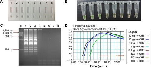 Figure 6 Analytical sensitivity of MCDA-LFB assay using serially diluted genomic DNA with Listeria monocytogenes strain EGD-e.Notes: A total of 4 monitoring methods, including LFB (A), colorimetric indicator (FD) (B), gel electrophoresis (C), and real-time turbidity (D) were applied for analyzing the amplification products. The serial dilutions (10 ng, 10 pg, 10 fg, 1 fg, and 0.1 fg) of target templates were subjected to standard MCDA reactions. Strips (A)/tubes (B)/lanes (C)/turbidity signals (D) 1–8 represented the DNA levels of 10 ng, 10 pg, 10 fg, 1 fg, and 0.1 fg per reaction, negative control (10 pg of Listeria ivanovii genomic DNA), negative control (10 pg of Salmonella genomic DNA) and blank control (DW). The genomic DNA levels of 10 ng, 10 pg, and 10 fg per reaction produced the positive reactions.Abbreviations: BC, blank control; DW, double distilled water; FD, fluorescent detection reagent; LFB, lateral flow biosensor; MCDA, multiple cross displacement amplification.