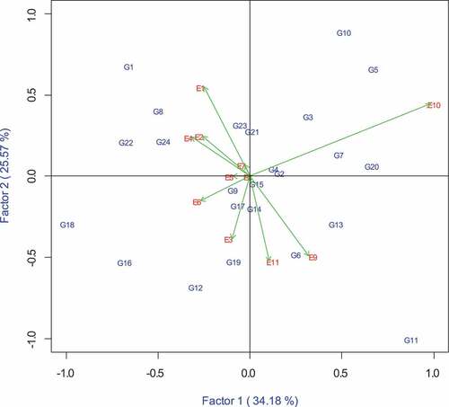 Figure 1. AMMI biplot of Factor 1 and Factor 2 scores for 24 normal and biofortified inbred lines grown across 11 environments.