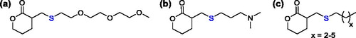 Figure 20. Functionalized six-member lactones, prepared by the thiol Michael addition on the exocyclic α,β-unsaturated δ-valerolactone.