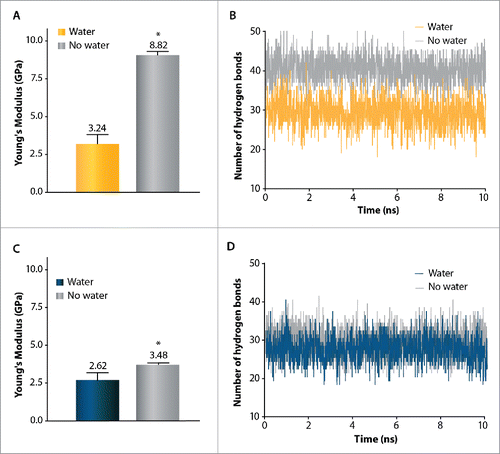 Figure 6. Effect of water on mechanical properties of the TM1 helix in MtMscL (A,B) and in EcMscL (C,D) using constant-force SMD simulation. (A) The Young's modulus of TM1 helix in MtMscL is E = 3.2 ± 0.9 GPa when it is solvated in water, and E = 8.8 ± 0.2 GPa in the absence of water (vacuum). Thus, in the absence of water (vacuum), TM1 helix is more than 3 times stiffer in MtMscL. (B) Change in number of the hydrogen bonds of TM1 α helix of MtMscL during 10 ns of SMD simulation. About 41 hydrogen bonds stabilize the secondary structure of TM1 helix in vacuum, while when it is solvated in water, the number of hydrogen bonds becomes significantly reduced to ∼30 bonds. This indicates that water acts as a ‘lubricant’ (softener) during TM1 helix elongation in water. (C) The Young's modulus of the TM1 helix of EcMscL solvated in water is E = 2.6 ± 0.5 GPa whereas it is E = 3.5 ± 0.1 GPa in the absence of water (vacuum). (D) The number of hydrogen bonds does not change considerably when the TM1 helix of EcMscL is solvated in water, thus its elasticity modulus only increases by ∼30 %. For all the hydrogen bond calculations, we used a donor-acceptor distance of 3.5 Å and angle cut-off of 40°. The values presented in (A) and (C) are Mean ± SEM for n = 3. Student's t-test was used for statistical analysis and differences were considered significant for *p-value < 0.05.