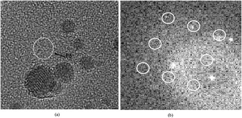 Figure 6. (a) TEM micrograph of carbon replica prepared from as-rolled PM2000 steel, showing nanosized YAlO3 oxide particle P5 marked with arrow; (b) FFT pattern generated from particle P5 in the zone axis of [231¯].