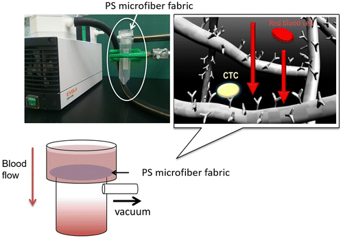 Figure 1. The setup of the specific cell capturing microfiber system with a vacuum pump. Cell suspension is passed through the microfiber fabric by vacuum pumping. All cells flow out through the micropores of the three-dimensional microfiber fabric. The flow rate was approximately 10 ml min–1.