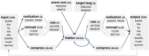Figure 1. Bilingual Dual-path, the model used in our Spanish-English priming experiment. The model is an SRN-based model (the lower path, via the “compress” layers) that is augmented with a semantic stream (upper path) that contains information about concepts, thematic roles, event semantics, and the target language. The number of units per layer for the model used in Experiment 1 is shown in parentheses. The numbers of units for the hidden and compress layers vary across simulations.
