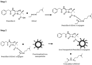 Scheme 1. Schematic illustration of penicillin G iron nanoconjugate synthesis.