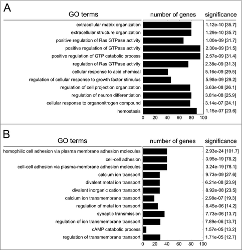 Figure 3. Gene ontology of hypomethylated genes (A) or hypermethylated genes (B) following persistent exposure to 100 µg/ml PM2.5 for 5 weeks. The 12 most significant functionally linked biologic processes, the number of clustered genes, the p-values and combined scores (in brackets) are shown.
