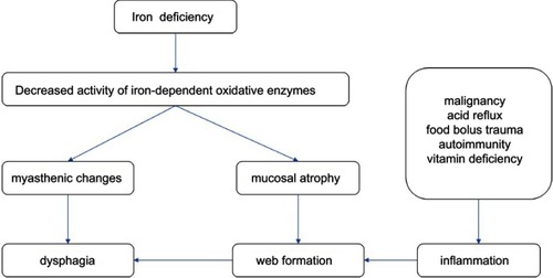 Figure 2 Summary of pathophysiology for Plummer-Vinson syndrome.