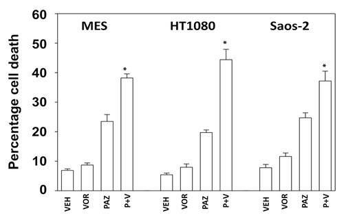 Figure 2. Pazopanib and vorinostat interact to kill multiple sarcoma cell lines. Sarcoma cells were treated with vehicle (VEH, DMSO), pazopanib (PAZ, 5.0 μM) and/or vorinostat (500 nM) as indicated. Cells were isolated 48h after exposure and viability determined by trypan blue exclusion (n = 3, ± SEM) *P < greater than vehicle control.