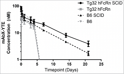 Figure 2. Plasma drug concentrations of mAbX-YTE in mouse following 1 mg/kg intravenous dose (n = 3 per group).