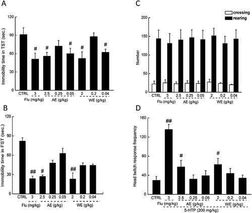 Figure 1. Effects of P. tenuipes M98 extracts on the immobility duration in TST (A) and FST (B) and the locomotor activity in mice (C). #p < .05 and ##p < .01 versus non-treated mouse. (D) Effects of P. tenuipes M98 extracts on the number of head swings induced by 5-HTP. #p < .05 and ##p < .01 versus non-treated mouse.