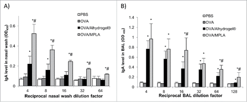 Figure 1. OVA-specific IgA levels in the nasal wash (A) and BAL samples (B) of mice intranasally immunized with OVA-adsorbed Alhydrogel®. Mice (n = 5) were dosed on days 0, 14, and 28 with OVA/Alhydrogel®, OVA/MPLA, OVA alone, or sterile PBS. The dose of OVA was 5 μg per mouse, 5 μg for MPLA, and 20 μg for Alhydrogel®. The anti-OVA IgA levels (OD450 values) in nose wash and BAL samples were measured 14 d after the third immunization (*p < 0.05, vs. OVA; #p < 0.05, OVA/Alhydrogel® vs. OVA/MPLA).