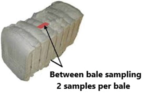 Figure 1. Between bale variability sampling (Gourlot J.-P. And Driling A., Citation2012, ISBN: 978-2 -87,614-686-0. EAN:9782876146860).