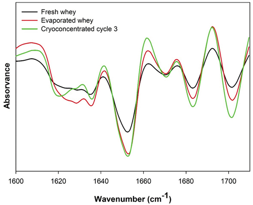 Figure 2. FT-IR spectra of protein secondary structure in fresh, evaporated and cryoconcentrated whey.