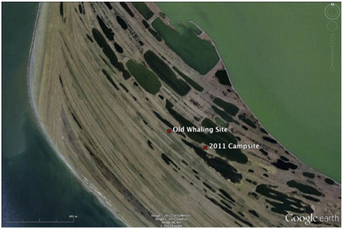Fig. 2  Cape Krusenstern beach ridges and site location.