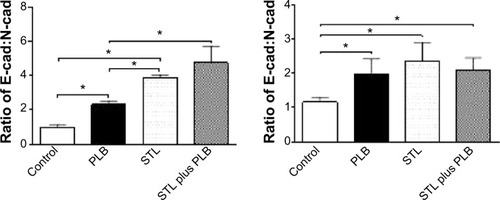 Figure 27 The role of Sirt-1 in PLB-induced EMT inhibition in PC-3 and DU145 cells.