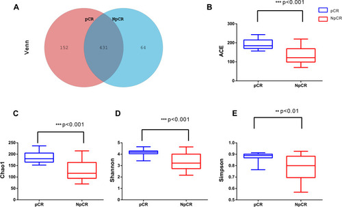 Figure 3 Microbial community richness and Alpha diversity in pCR and NpCR tumor tissues. (A) Venn diagrams. The Venn diagrams represent the shared and unique taxa among the different tissues. The microbial diversity, as estimated by the ACE index (B), Chao1 index (C), Shannon index (D) and Simpson index (E), in the both groups was significant. **p < 0.01; ***p < 0.001.