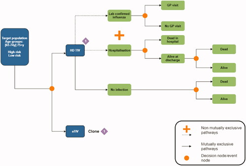 Figure 1. Structure of the decision tree. #Laboratory confirmed cases of influenza. * Pneumonia/influenza related hospitalizations (primary analysis), hospitalizations due to any respiratory cause (secondary analysis).
