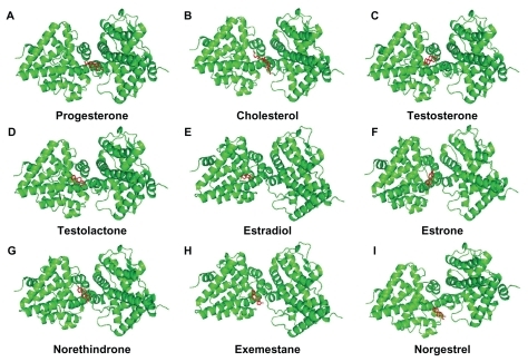 Figure 4 Progesterone (A), cholesterol (B), testosterone (C), testolactone (D), estradiol (E), estrone (F), norethindrone (G), exemestane (H), and norgestrel (I) docked onto the human progesterone receptor A (hPR AB green) in its lowest energy-docked conformation. Ligand molecules are shown in red.