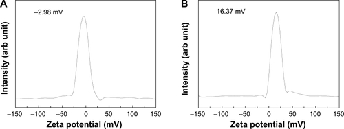 Figure S4 Zeta potential distributions of B-Cal (A), and N-Cal (B).Abbreviations: arb, arbitrary; B-Cal, bulk calcium carbonates; N-Cal, nano calcium carbonates.