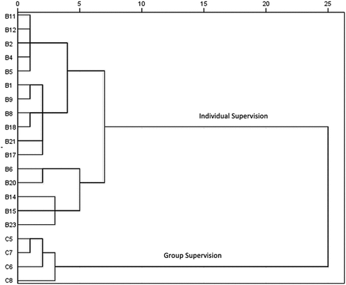 Figure 1. Dendrogram representing the hierarchical clustering of items on the Supervisor Evaluation and Supervisory Competence (SE-SC) scale into clusters and super-clusters. B1 to B18 are items from the SE-SC version 2 that represent the six clusters in the original study (Gonsalvez et al., Citation2017). Items C5, C6, C7, and C8 are new items designed to measure the group supervision competency.