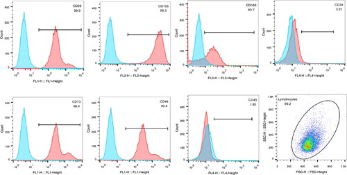 Figure 1. Flow cytometry detection of the expression patterns of HUMSCs surface markers.