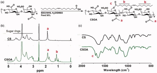 Figure 6. (a) Synthetic route of CSOA. (b) 1H NMR spectrum in D2O/DMSO-d6 (V: V = 1:2) and (c) FTIR spectrum of CS and CSOA.