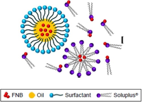 Figure 12 A schematic illustration of SMEDDS.Notes: Adapted from Quan G, Niu B, Singh V, et al. Supersaturable solid self-microemulsifying drug delivery system: precipitation inhibition and bioavailability enhancement. Int J Nanomed. 2017;12:8801-8811Citation330